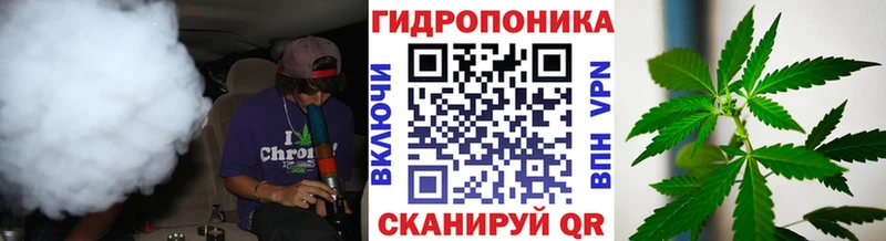 Купить наркоту Светлоград Галлюциногенные грибы  Кокаин  Мефедрон  МАРИХУАНА  ГАШ 