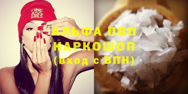 индика Нефтекумск