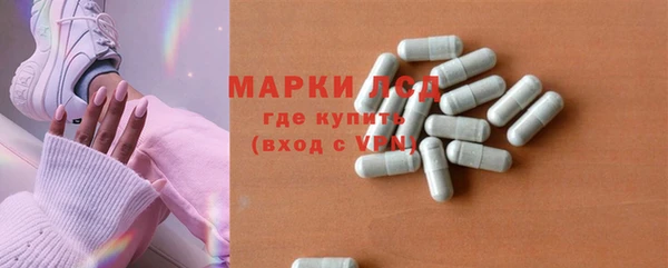 индика Нефтекумск