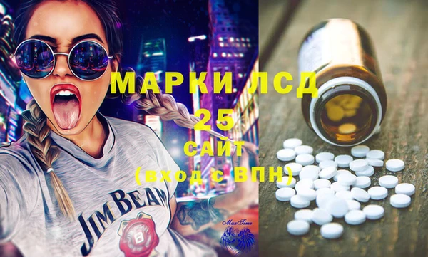 индика Нефтекумск