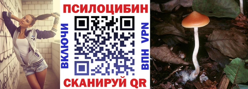 Псилоцибиновые грибы Psilocybe  Светлоград 