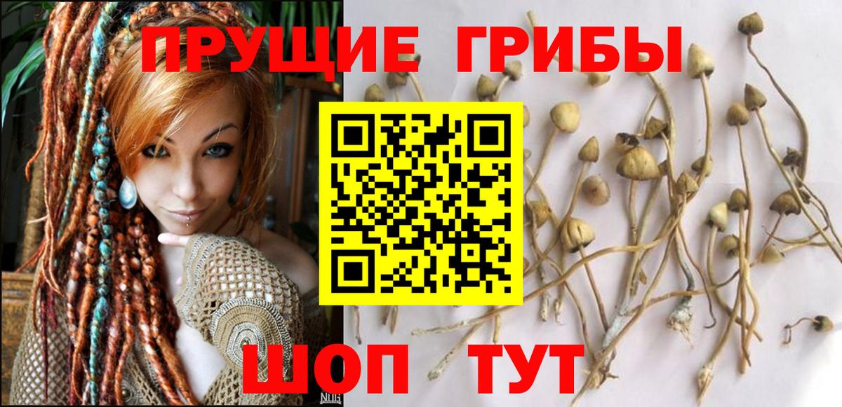 Светлоград  Галлюциногенные грибы Psilocybine cubensis  Псилоцибиновые грибы мухоморы  Вход с VPN 