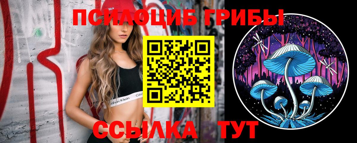 Псилоцибиновые грибы Cubensis  Галлюциногенные грибы Magic Shrooms  Светлоград  Вход с VPN 