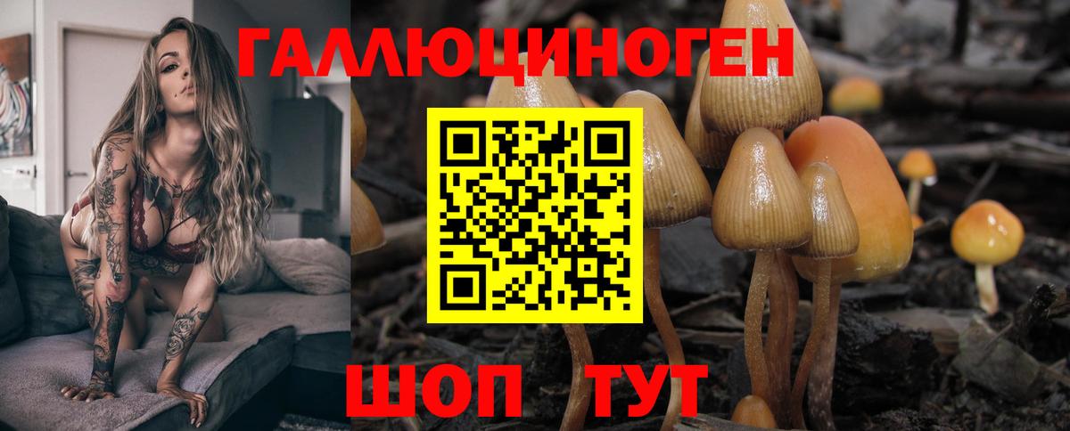 Псилоцибиновые грибы прущие грибы  цены   Светлоград 